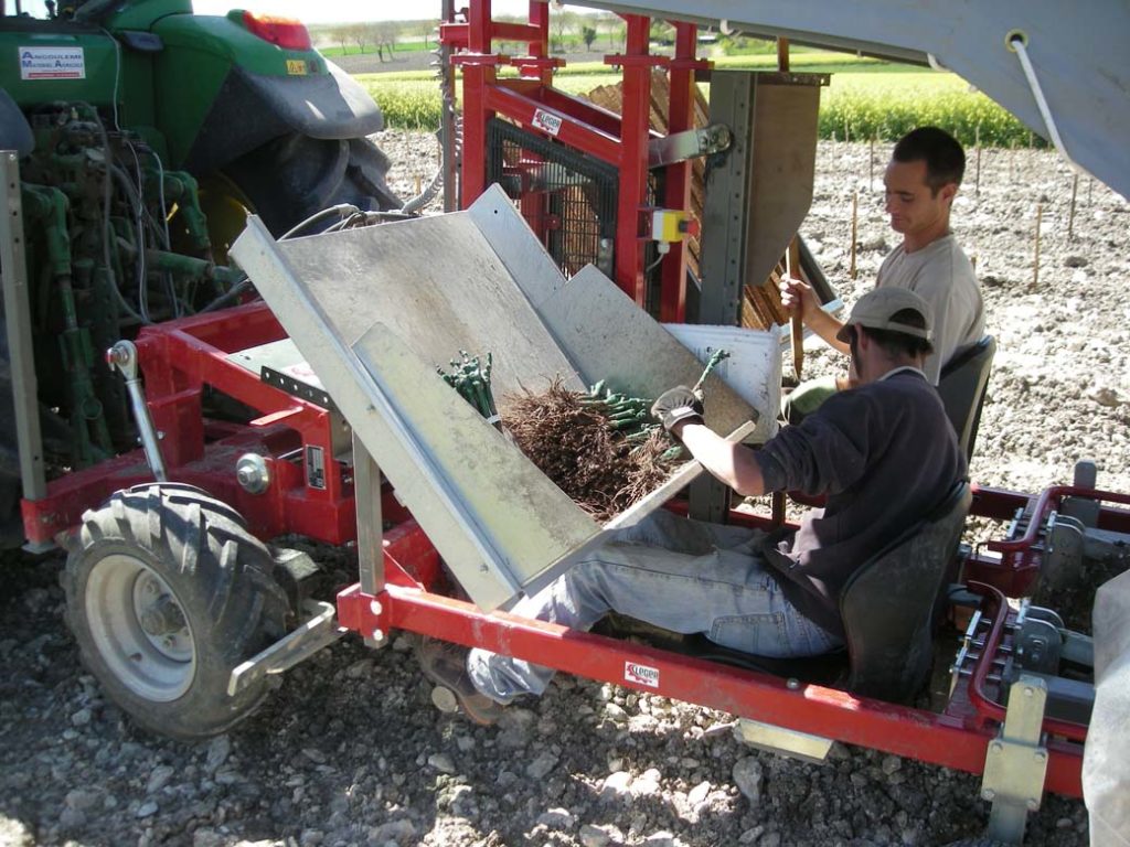Plantation de pied de vigne avec autoguidage du tracteur LEGER SAS