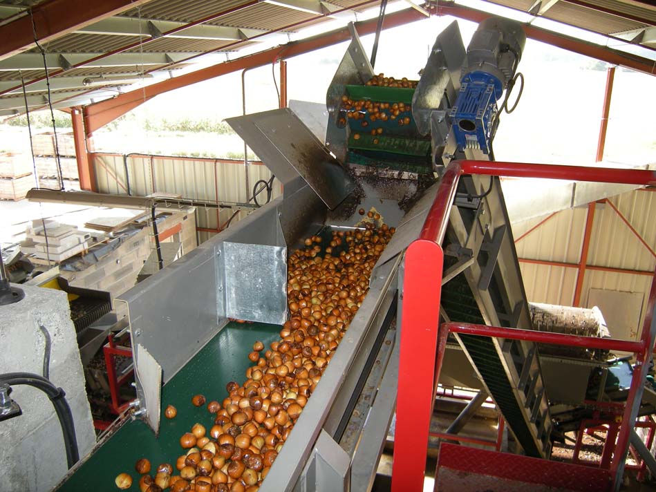 1 Ensemble Bassin De Lavage De Fruits Avec Couvercle Dranier - Temu France