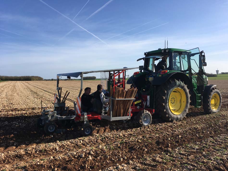 Planteuse à piquet pour la vigne et jeunes plants LEGER SAS