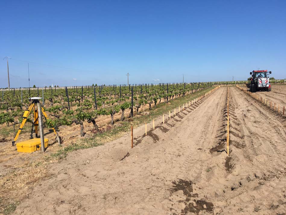 Plantation d’un vignoble avec la planteuse GPS de LEGER SAS